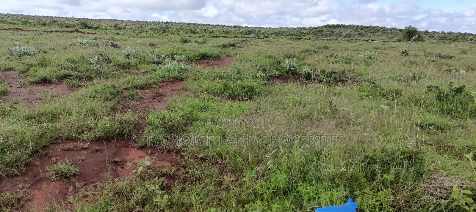 50x100ft Green Hills Gardens on Offer! In Kikuyu Nachu