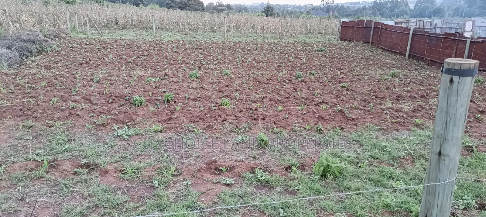 50x100 Plot of Land for Sale in Gikambura