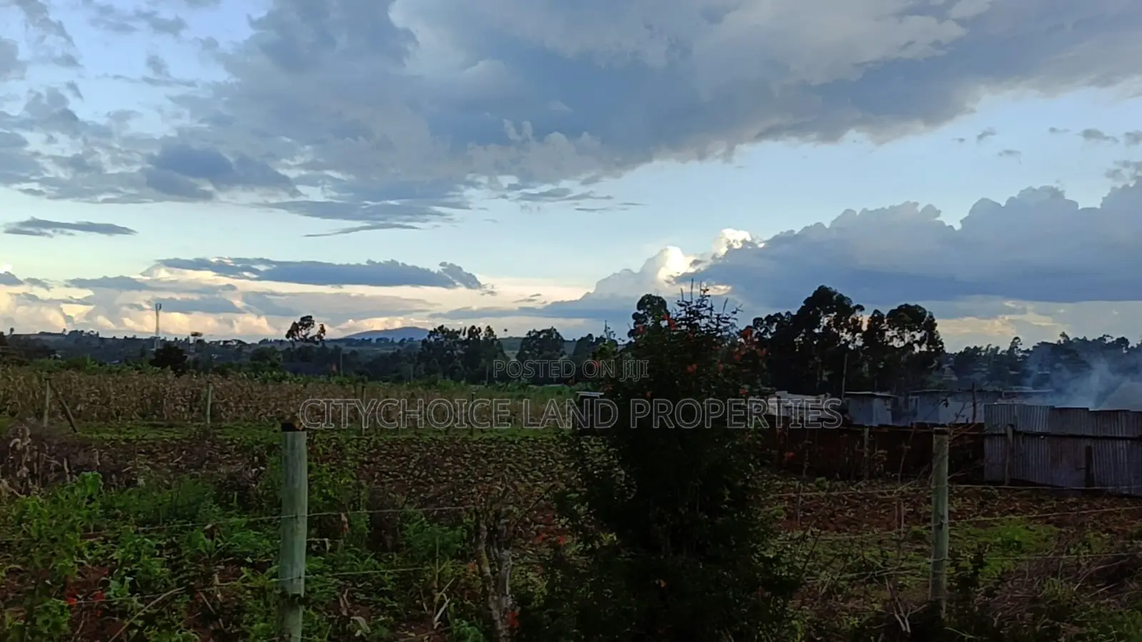 Affordable 50x100 Plot of Land in Jambo Tv Kikuyu