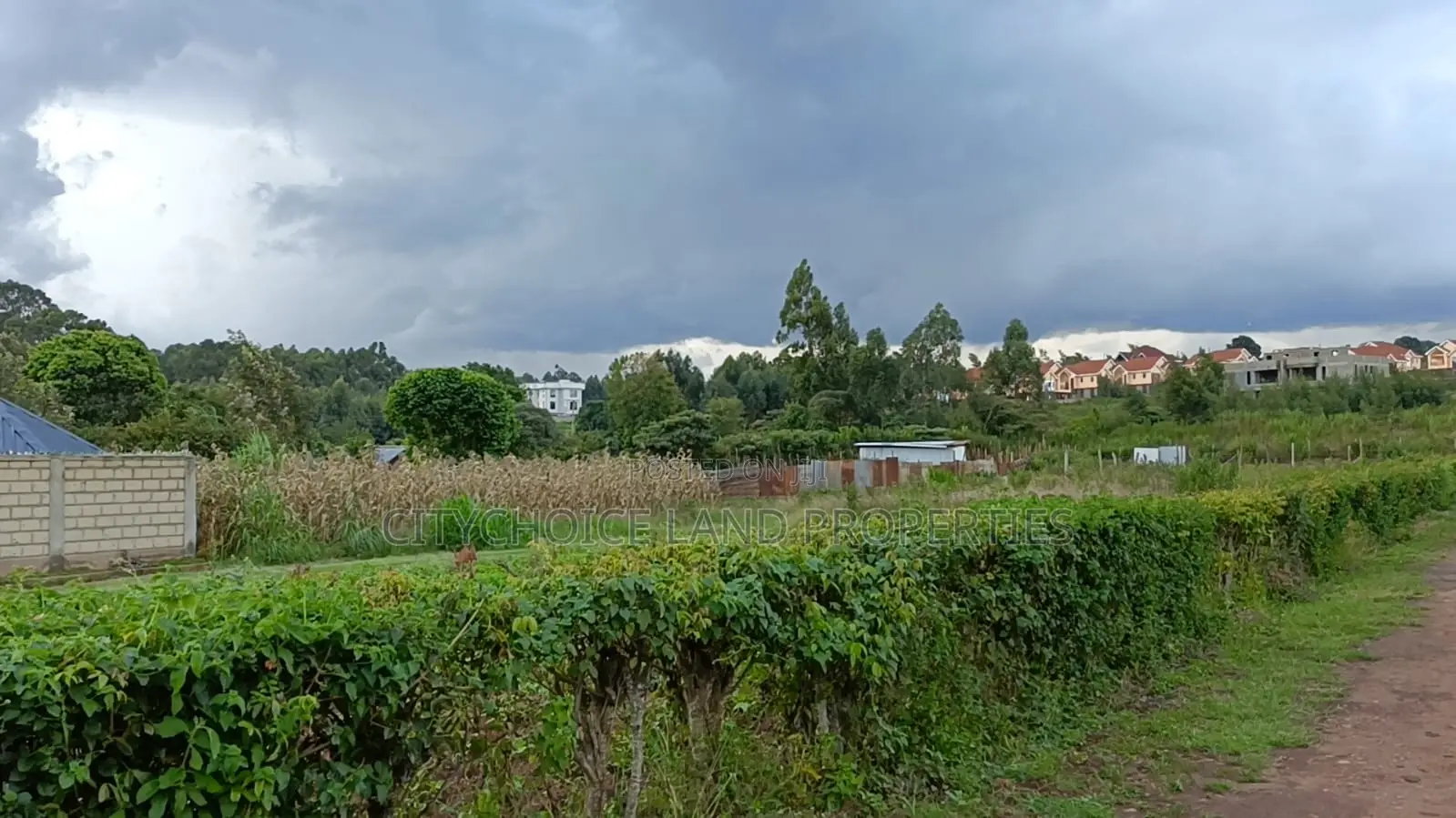 Prime Plot for Sale in Jambo Tv