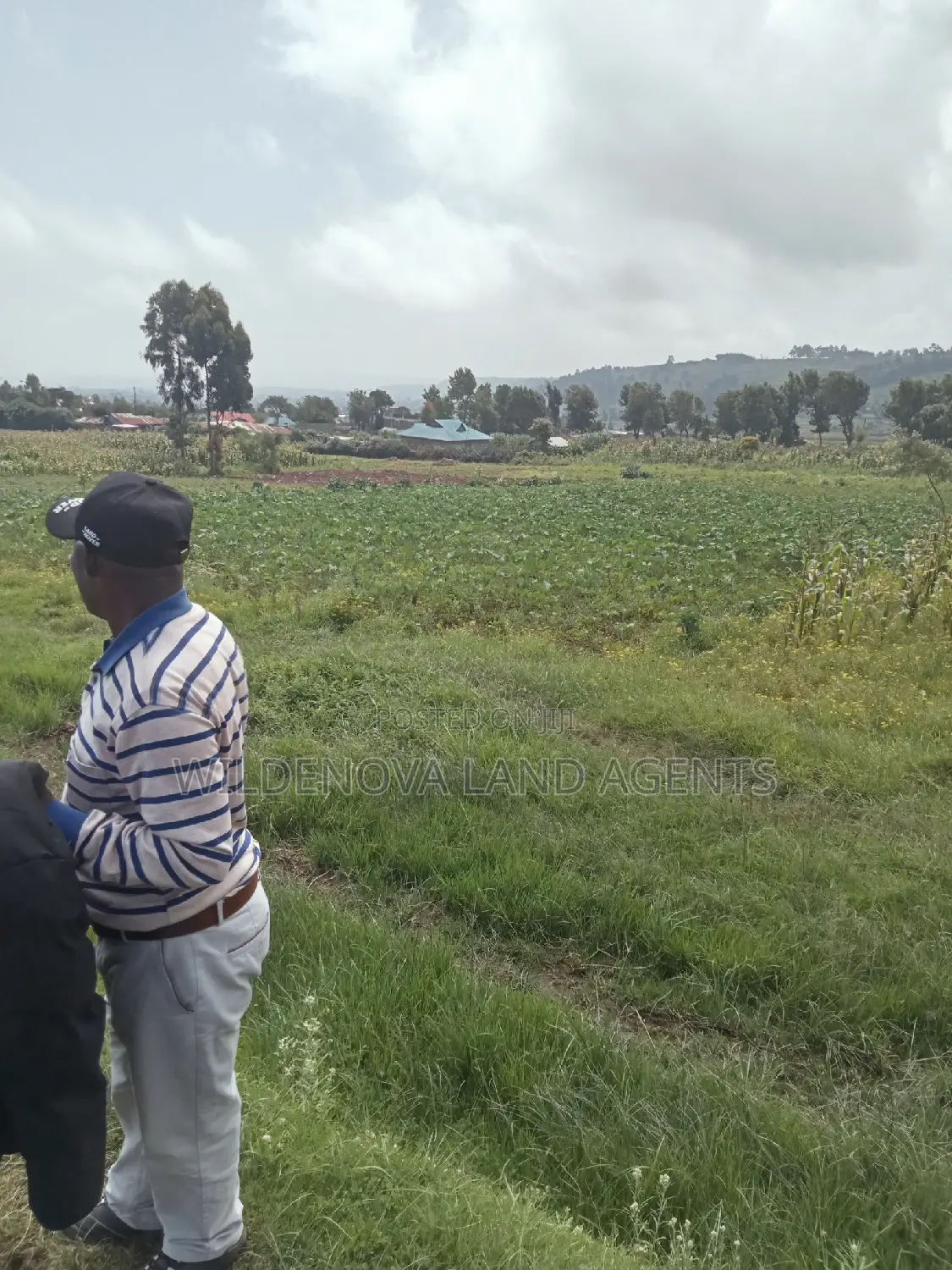 Land on Sale at Ihindu Naivasha