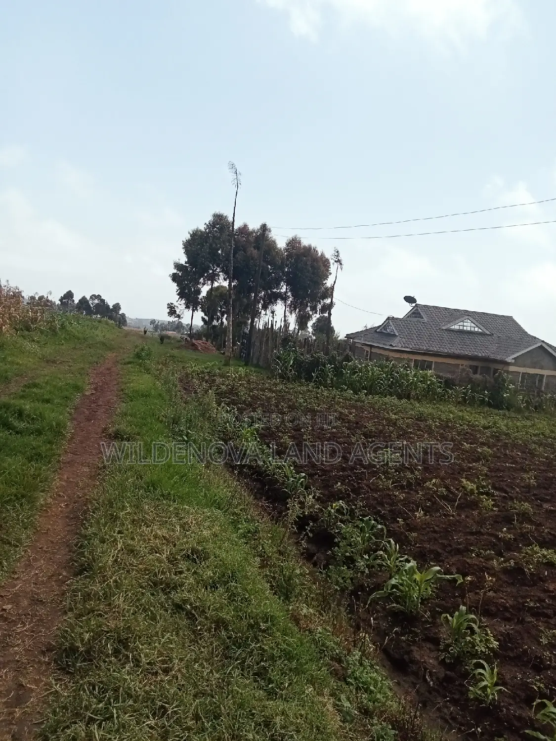 Land on Sale at Ihindu Naivasha