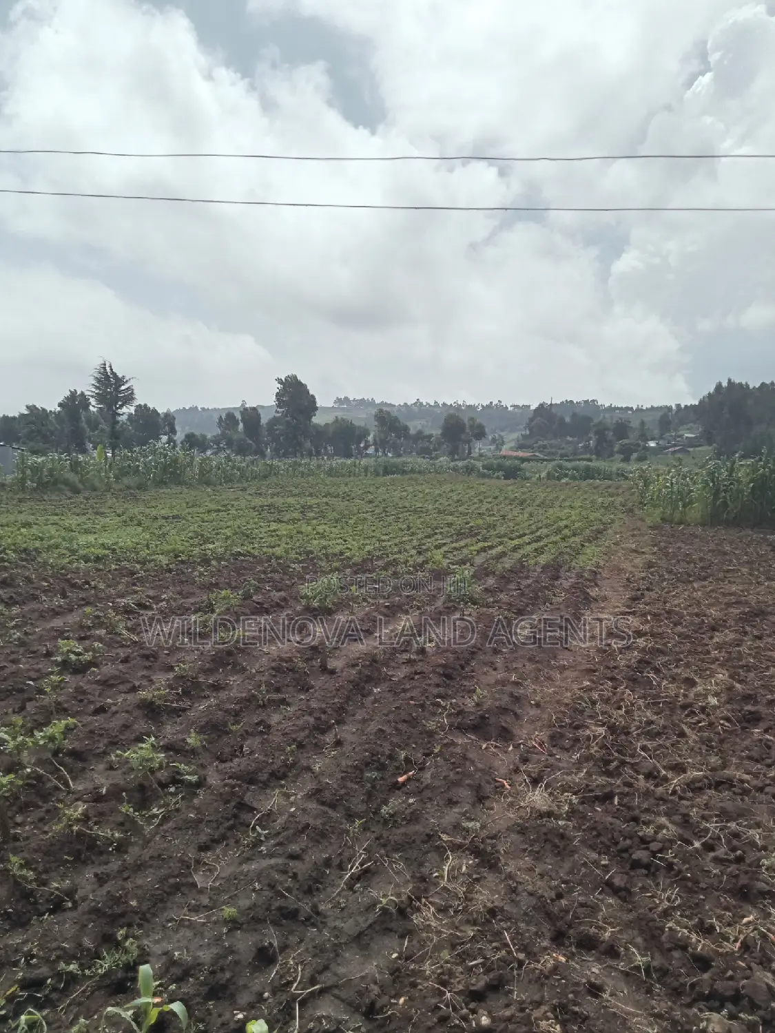 Land on Sale at Ihindu Naivasha