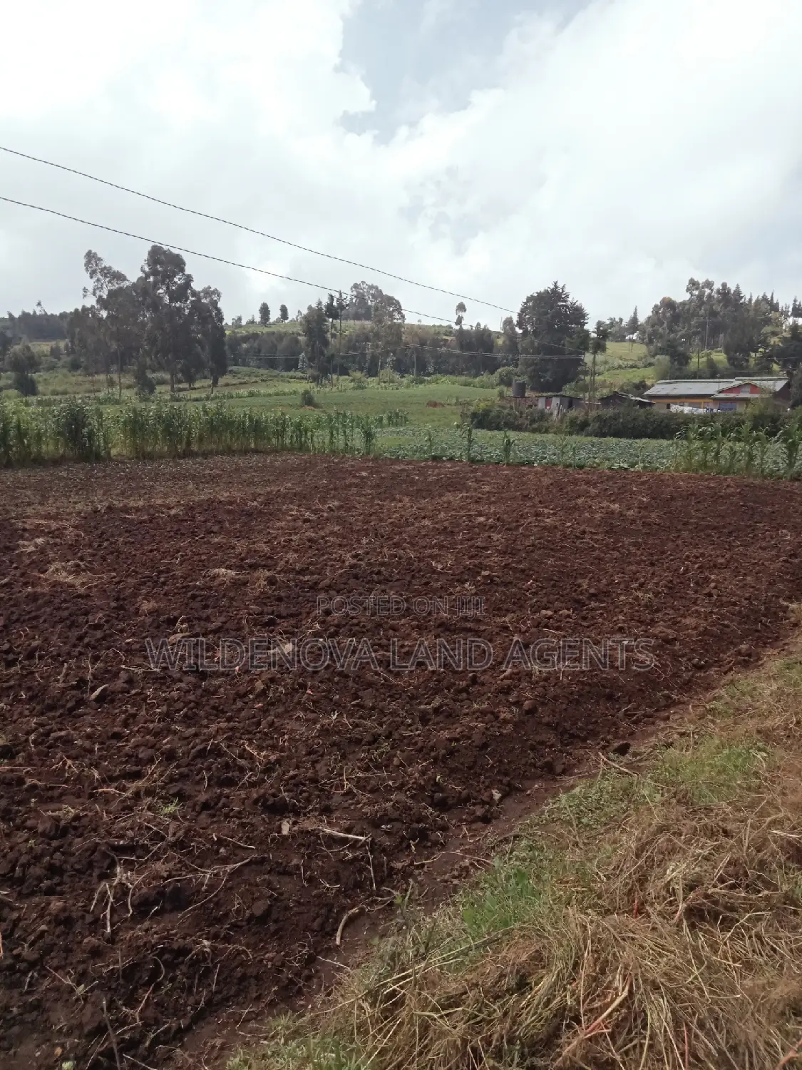 Land on Sale at Ihindu Naivasha