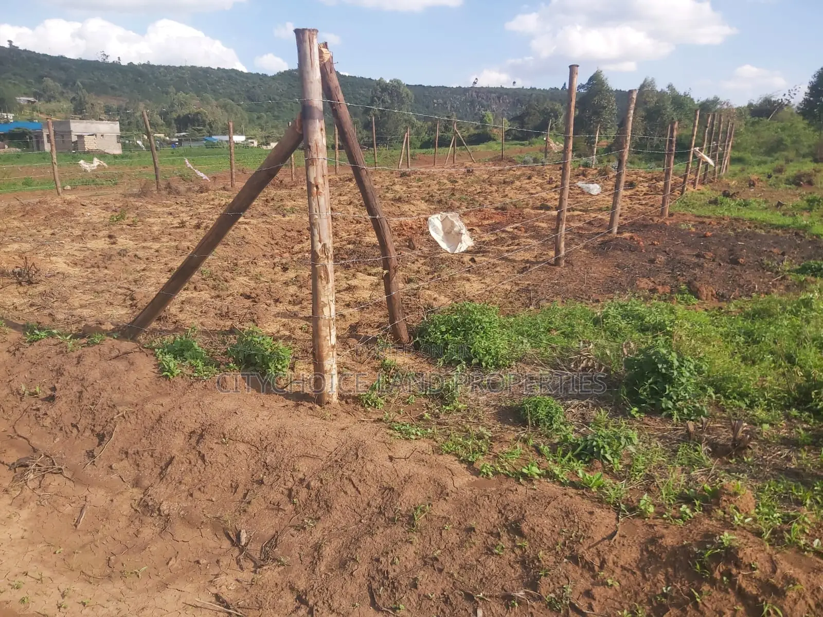 Limited OFFER! 50x100 Land for Sale