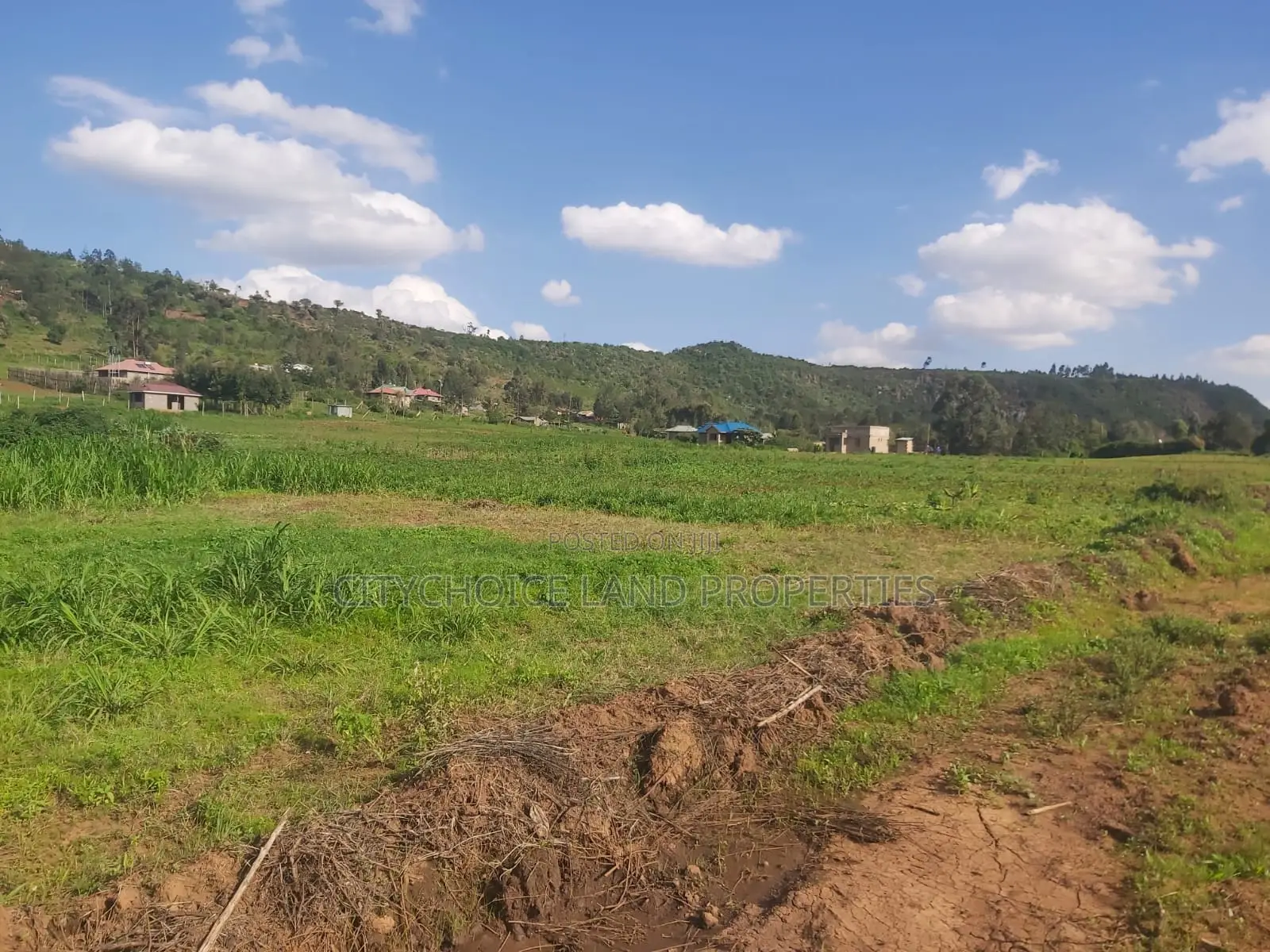 50x100ft Affordable Plot in Karai - Kikuyu