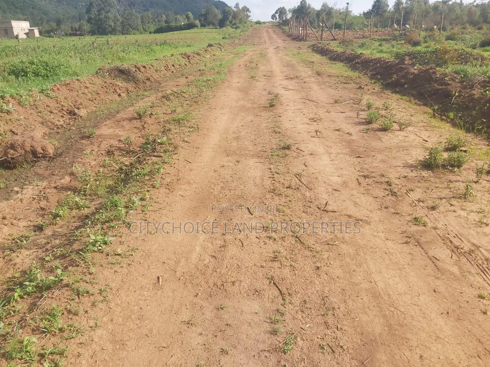 Karai Prime 50x100 Plot for Sale
