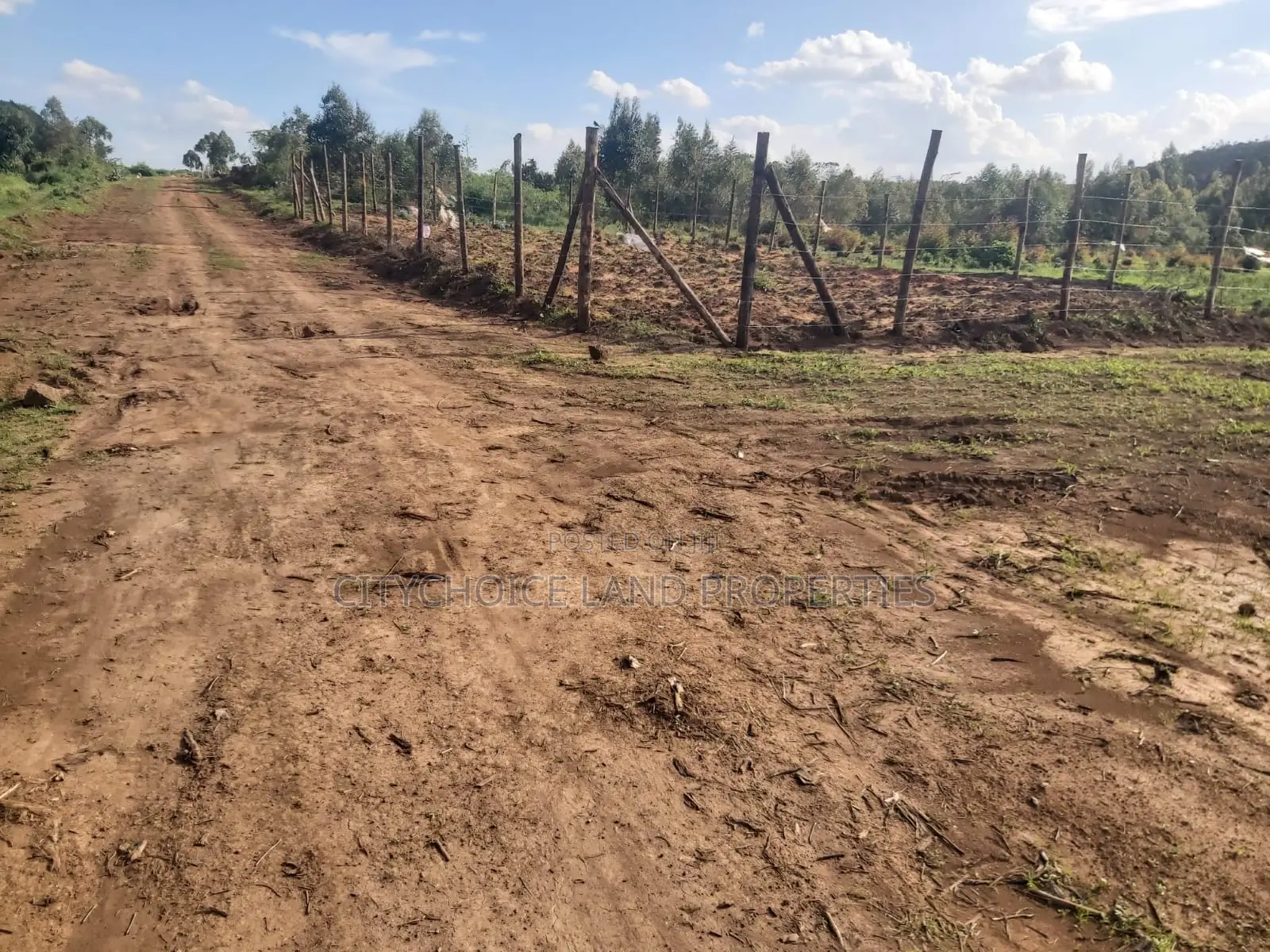 50x100 Affordable Plot in Kikuyu Karai