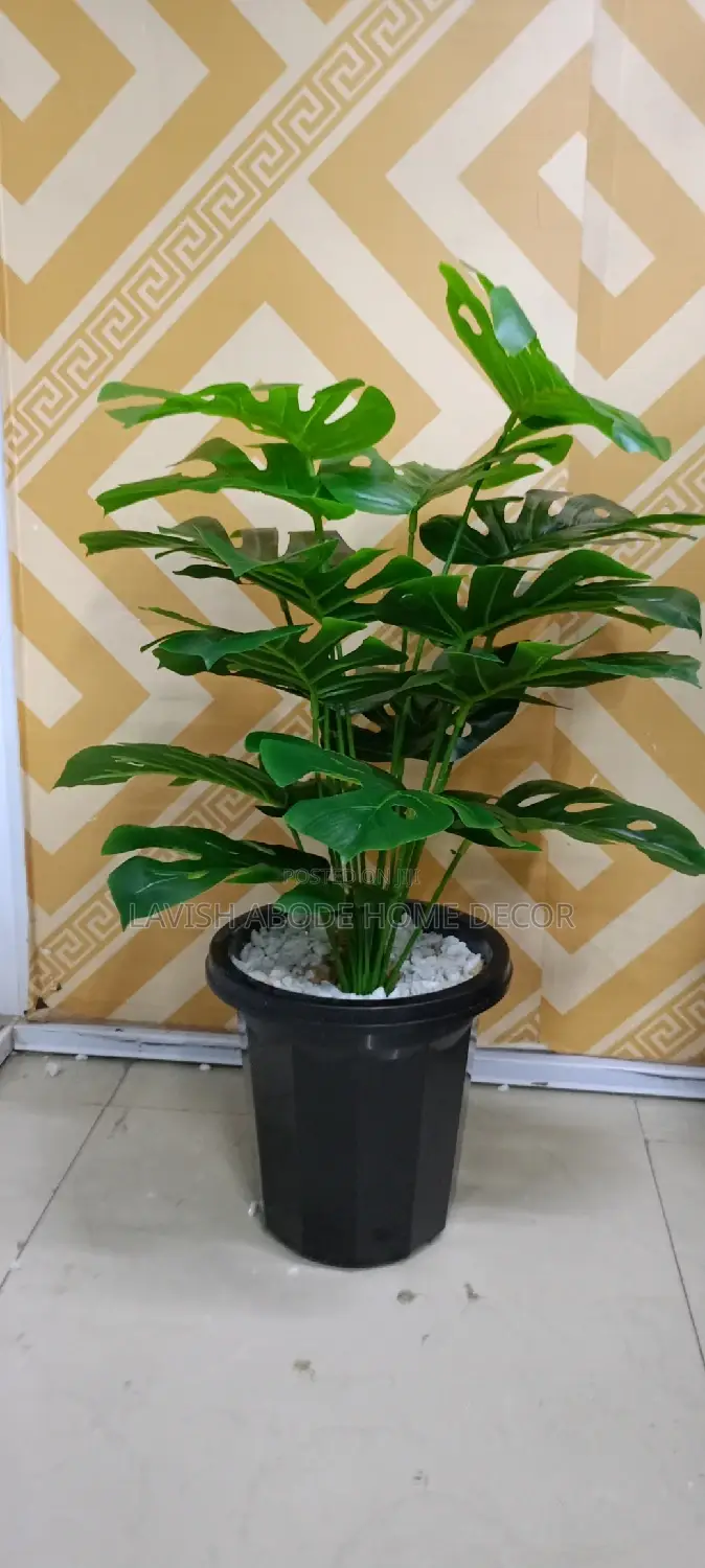 Planter Vase Black With Monstera Plant