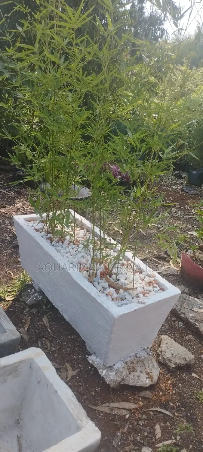 Decorated Bamboo Trough for Flower Pots,Flower Pot