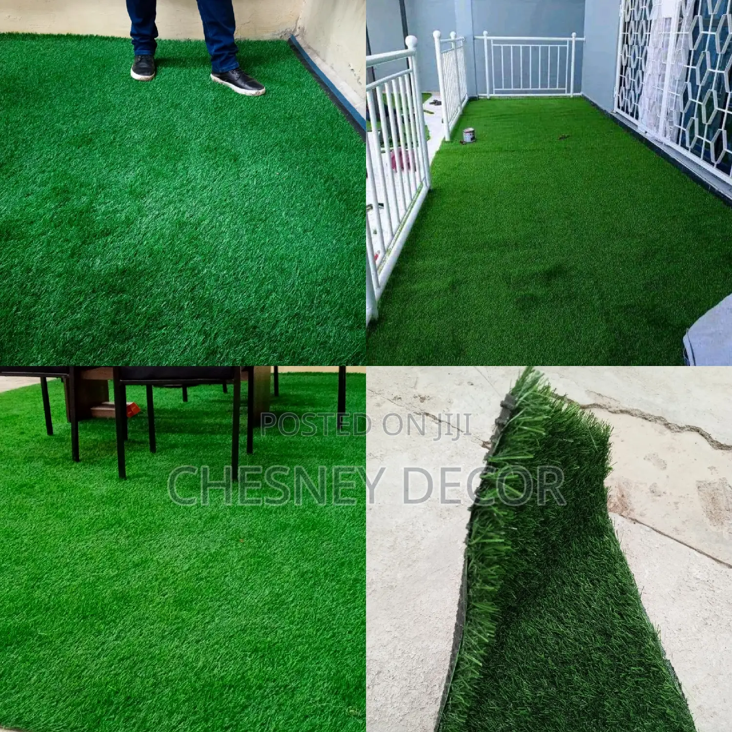 Carpet Grass Carpet Grass Carpet Grass Carpet Grass