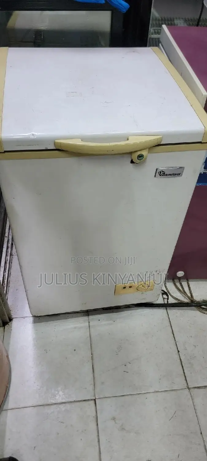 Mini Freezer 100l