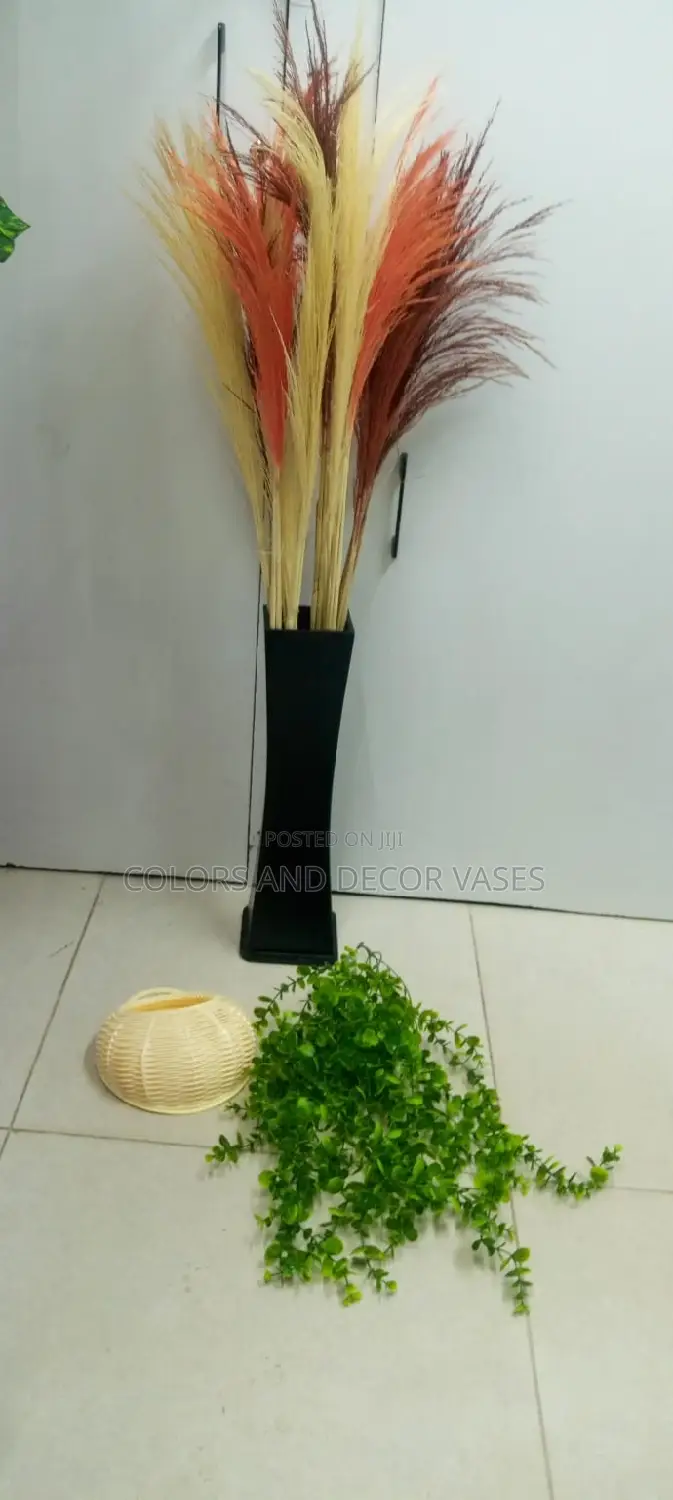 Pampas, Vase and Vines