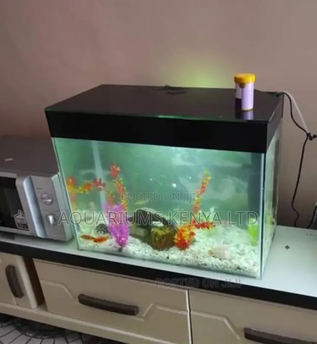 Desktop Standard 2ft by 11⁄2ft by 1ft Aquarium