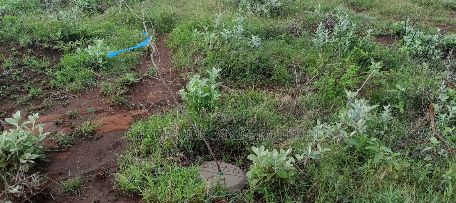 Hill Hills Gardens 50x100 Land for Sale
