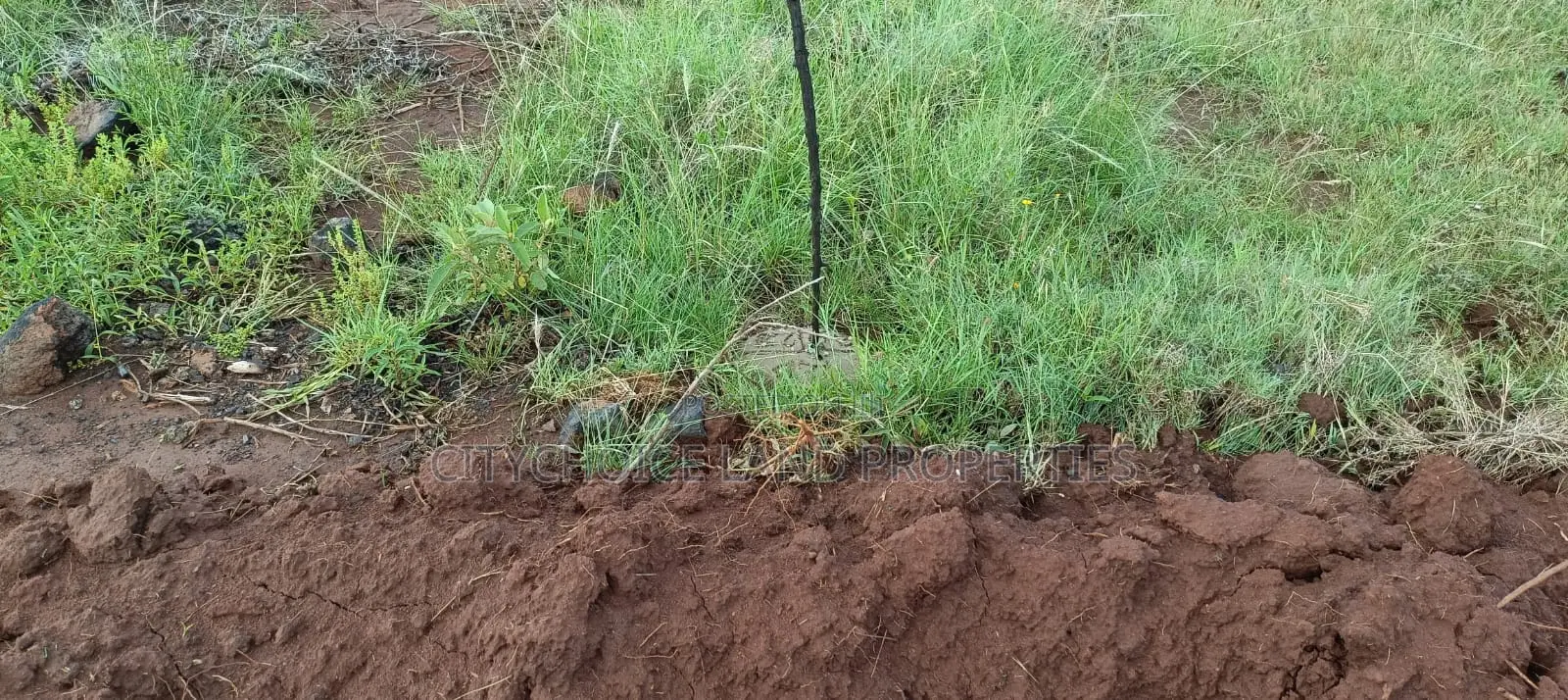 50x100 Land for Sale in Kikuyu Karai