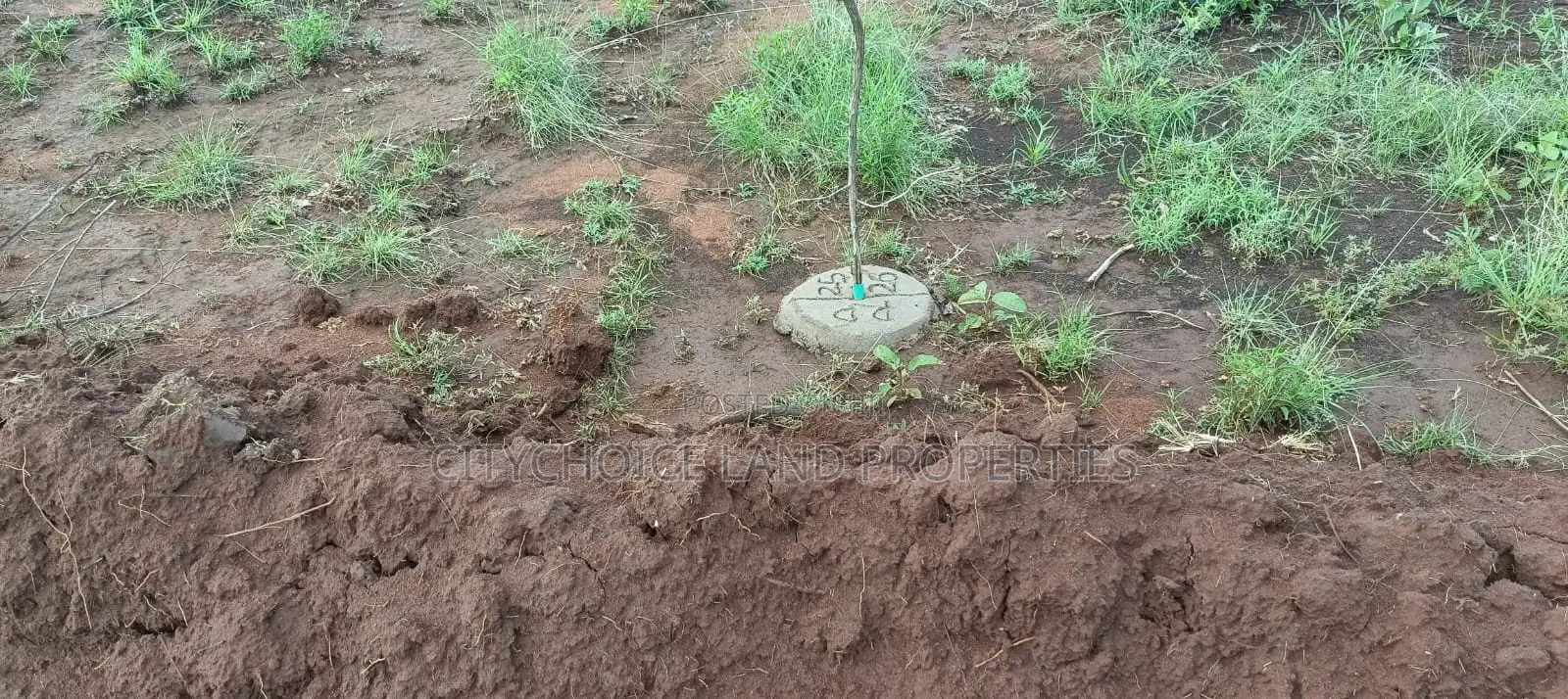 50x100 Land for Sale in Kikuyu Karai