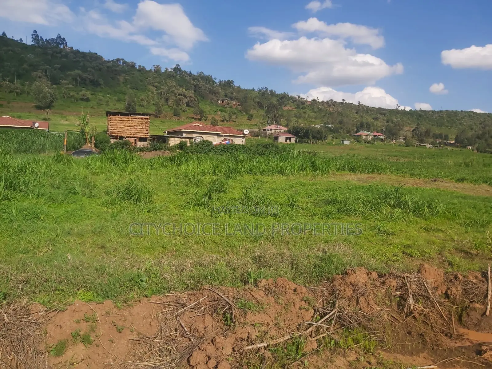 Affordable Prime 50x100 Plot for Sale in Kikuyu Karai