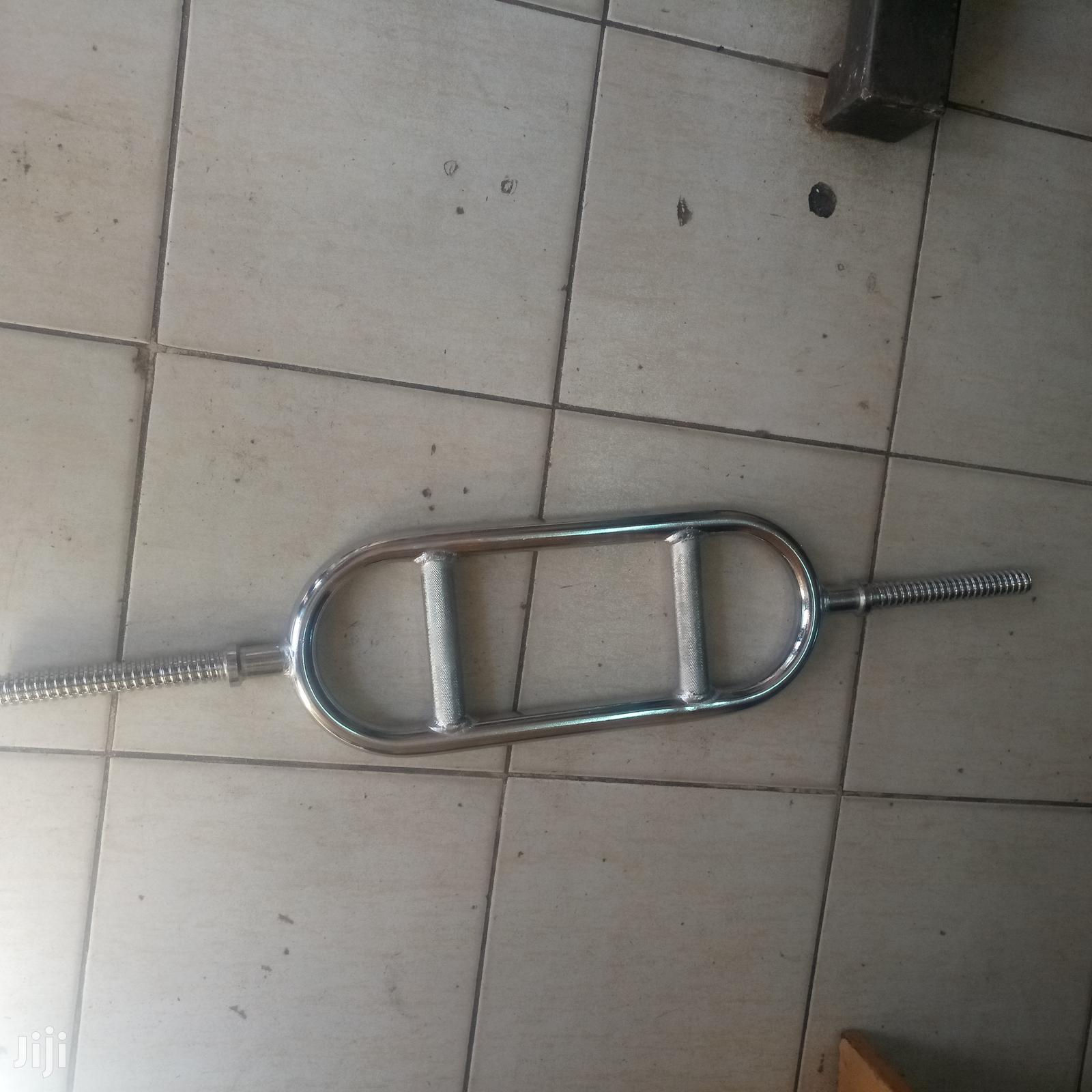 Swiss Bar/Weights