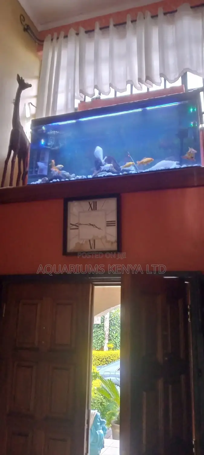 Aquarium Service Monthly