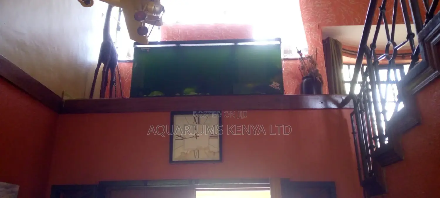 Aquarium Service Monthly