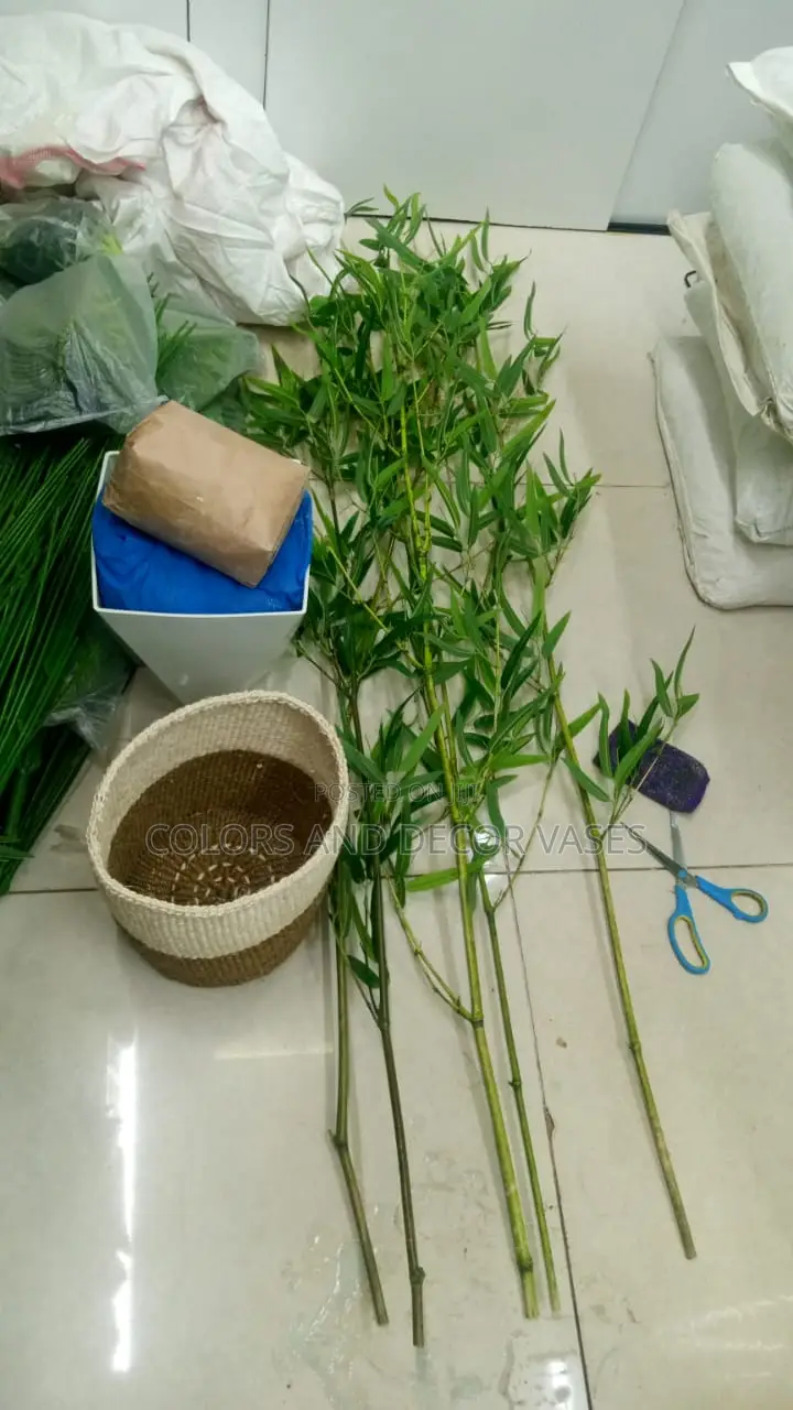 Bamboo Sticks With Basket or Plastic Vase on Offer