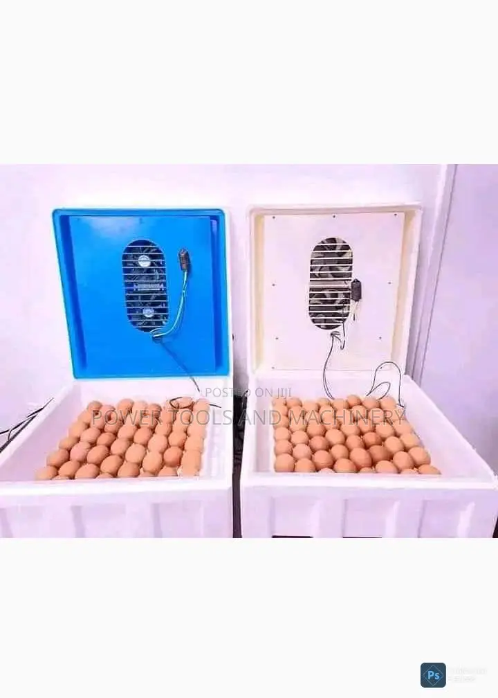 128eggs Automatic Incubator