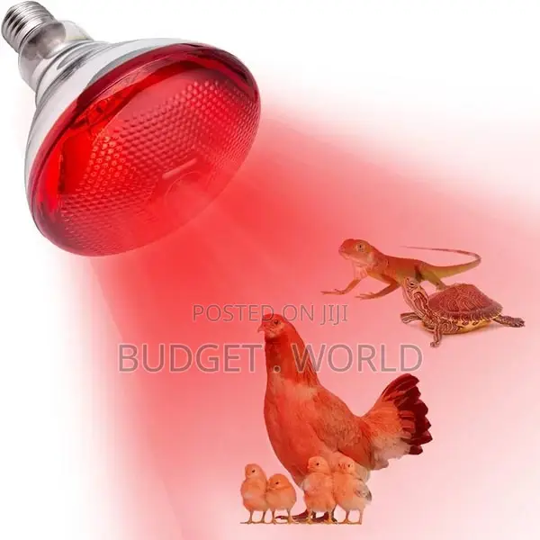 Chicks Heat Lamp Bulb, 250W Heat Lamp Bulb Glass Durable