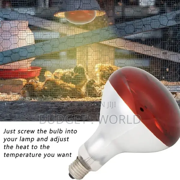 Affordable- Poultry,Chicken Bulb 250 Watts