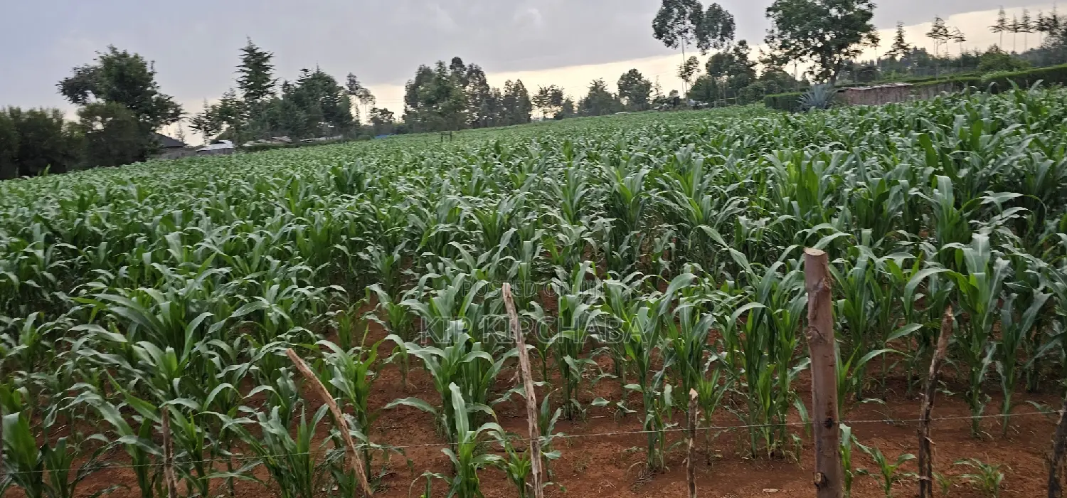 1 Acre For Sale In Sogomo Kapndani In Eldoret Kwa DL