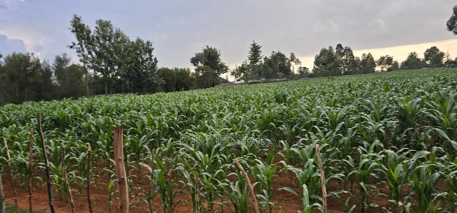 1 Acre For Sale In Sogomo Kapndani In Eldoret Kwa DL