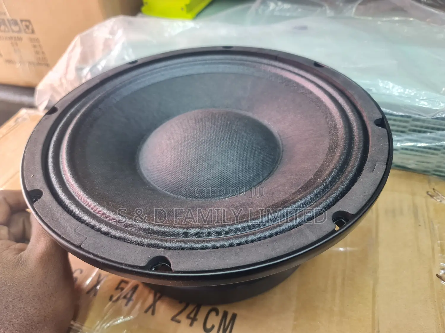 Ashley 10 Inch Naked Speaker