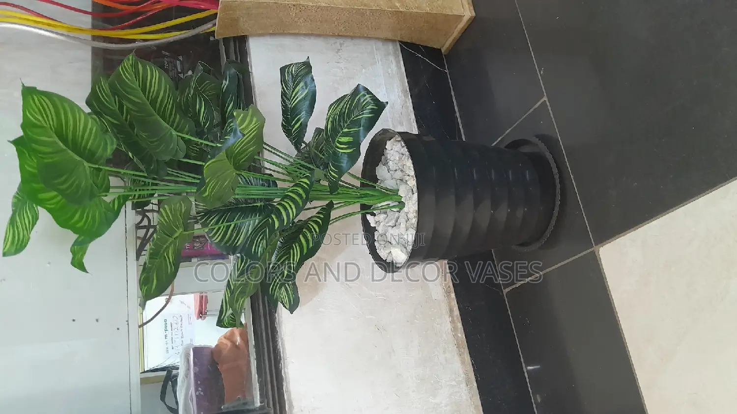 1.2m KSH 3,000 Vase,Plant,Stones