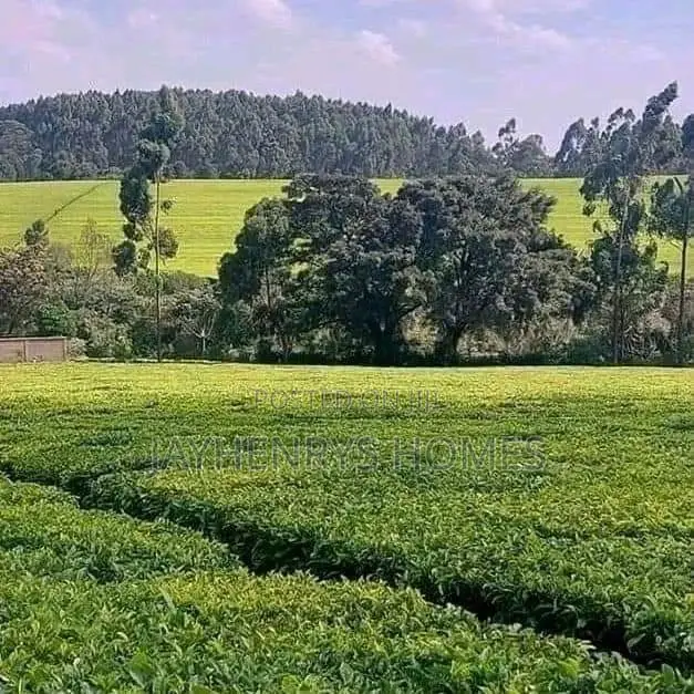 12.5 Acres for Sale in Riara Ridge,Tigoni at Kes 225m