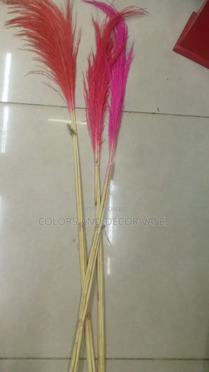 Grass Pampas Colours Red and Pink