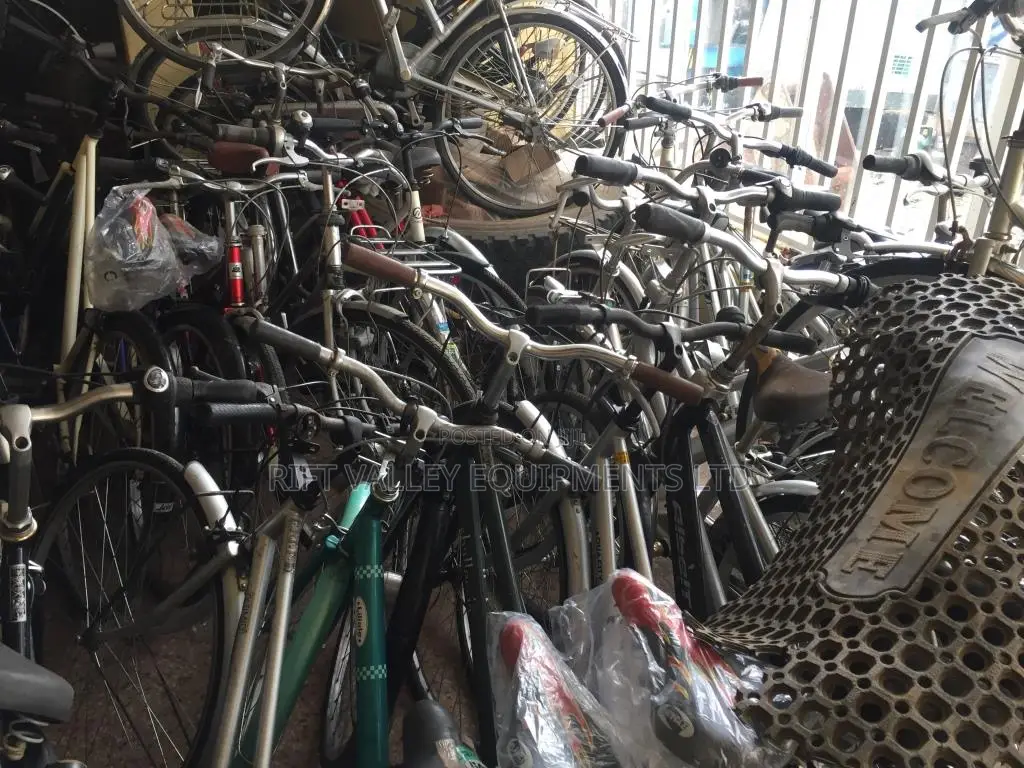 Quality Bikes of Varying Sizes and Use Available