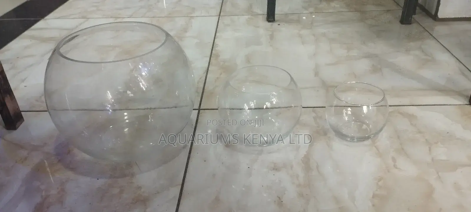 Fish Bowl in 3 Sizes,Fish Bowls