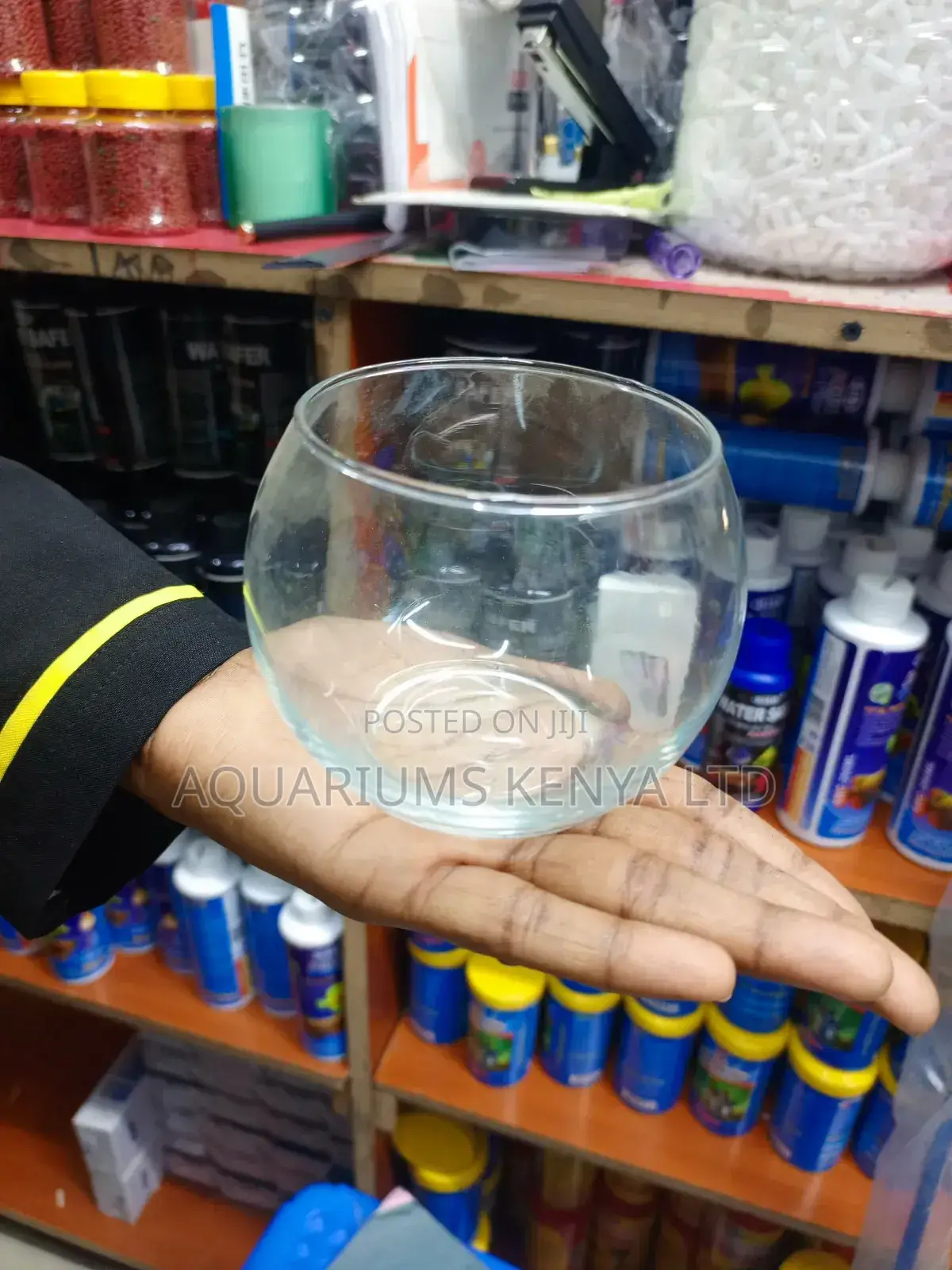 500ml Fish Bowl,Fish Bowl