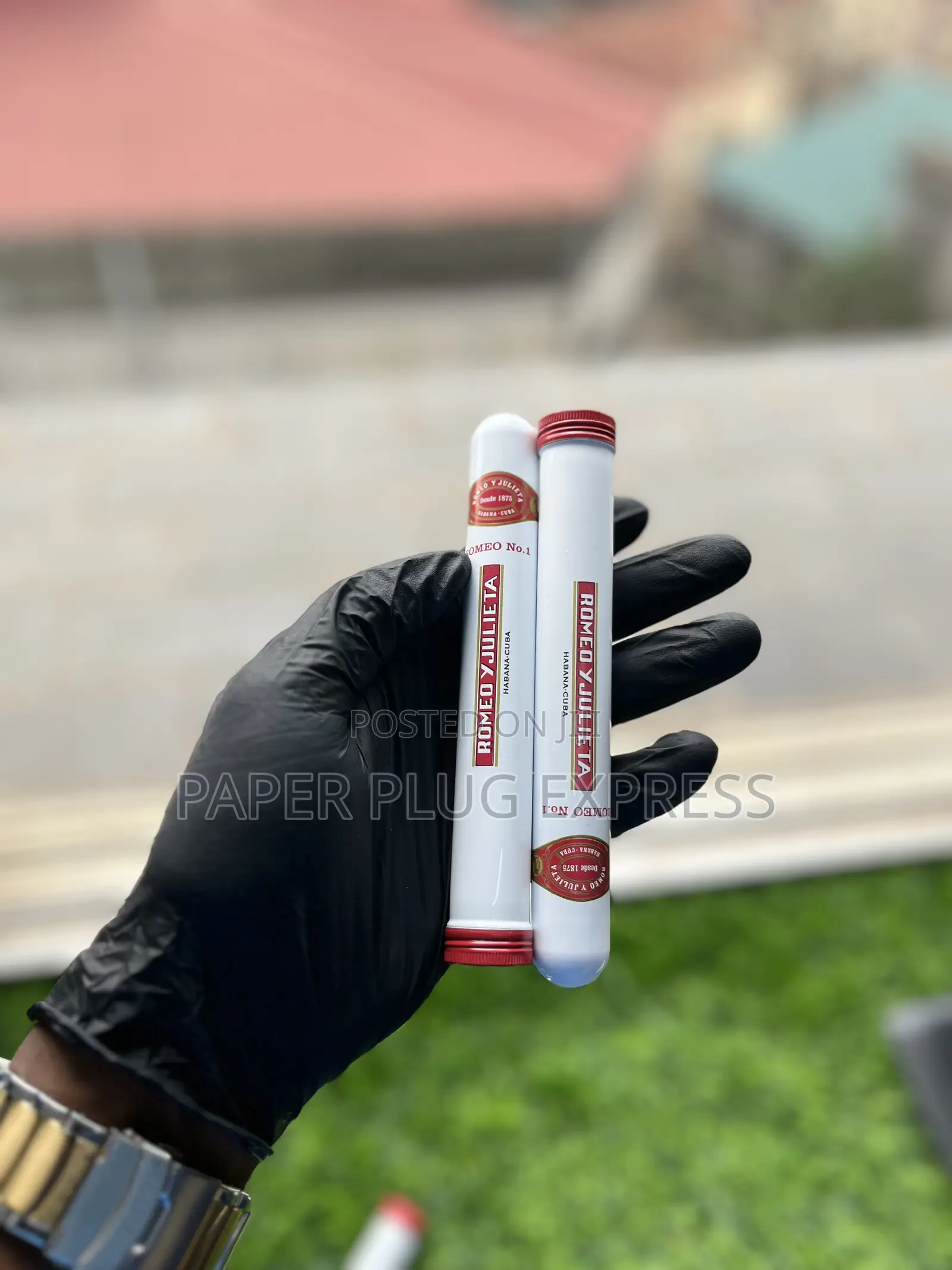 Romeo Y Julieta - Romeo No.1 Cigar