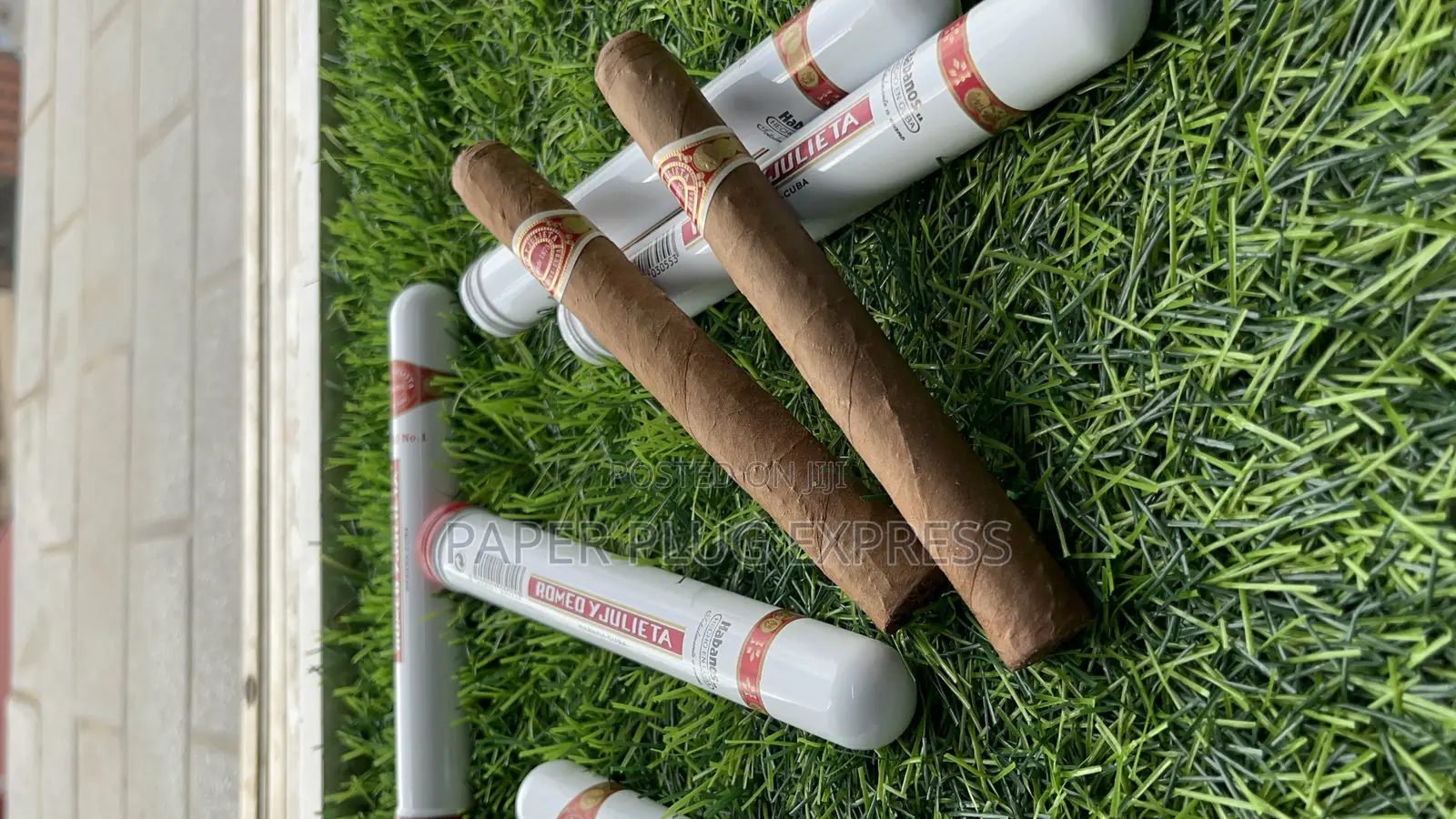 Romeo Y Julieta - Romeo No.1 Cigar