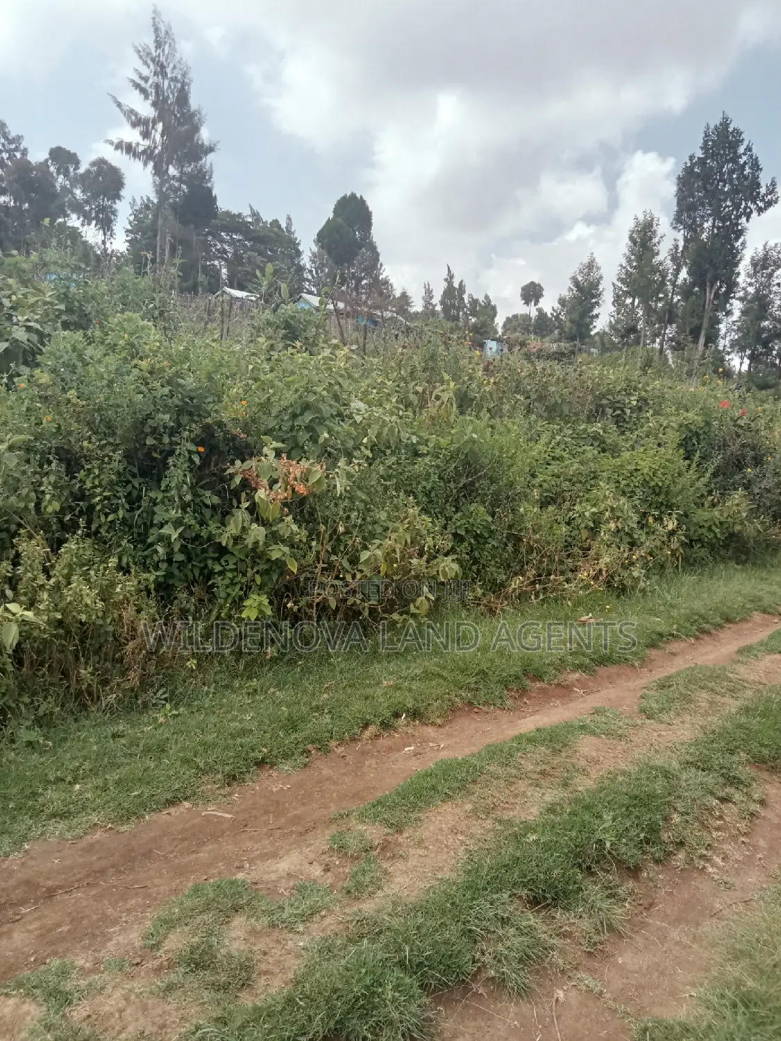 Land on Sale at Nyakairu Naivasha