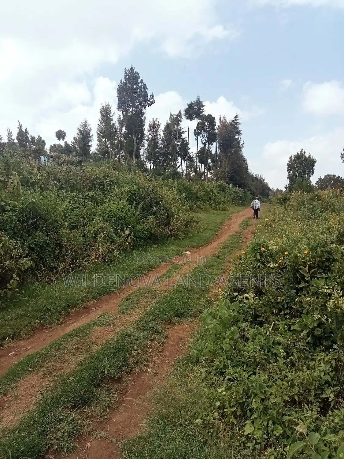 Land on Sale at Nyakairu Naivasha