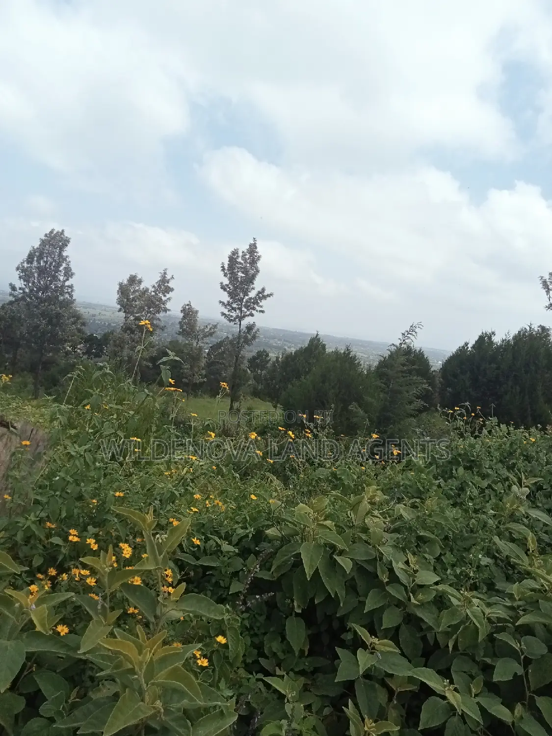 Land on Sale at Nyakairu Naivasha