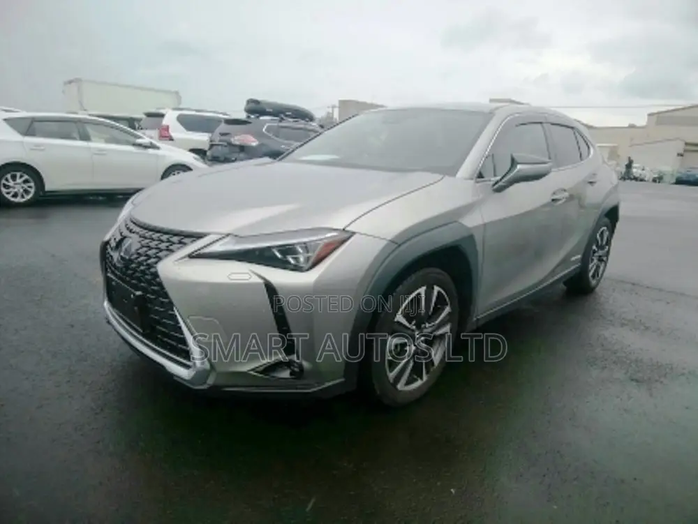 Lexus UX 250h 4WD 2019 Silver