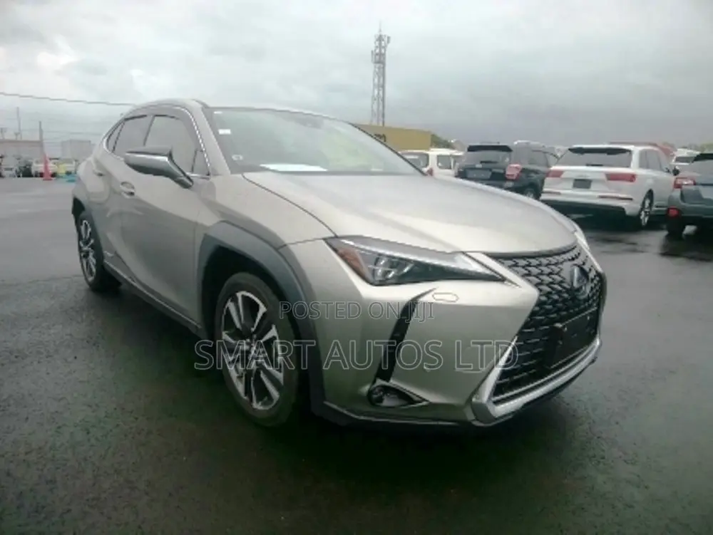 Lexus UX 250h 4WD 2019 Silver