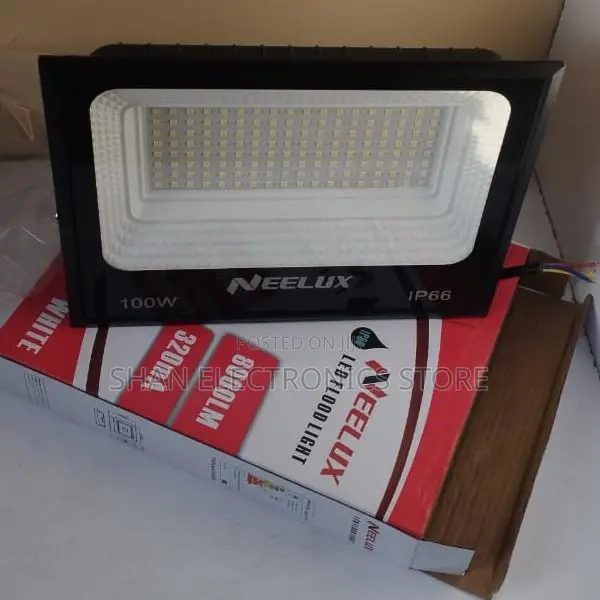 100w Ac Electric Floodlight Neelux Moderately Priced Light