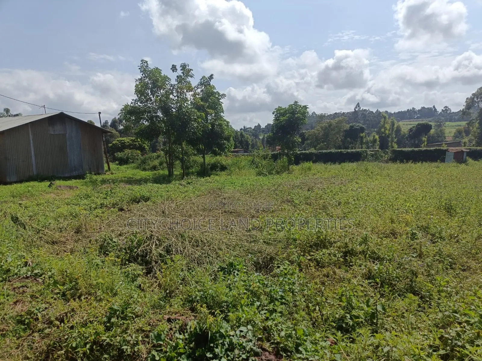 Prime Plot for Sale in Gikambura