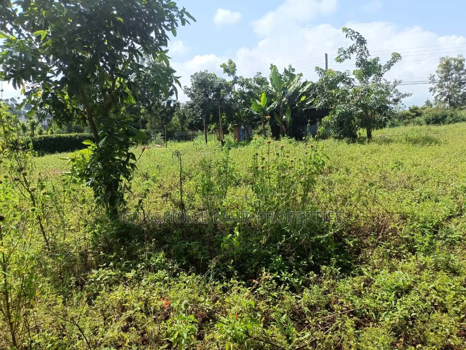 Prime Plot for Sale in Gikambura