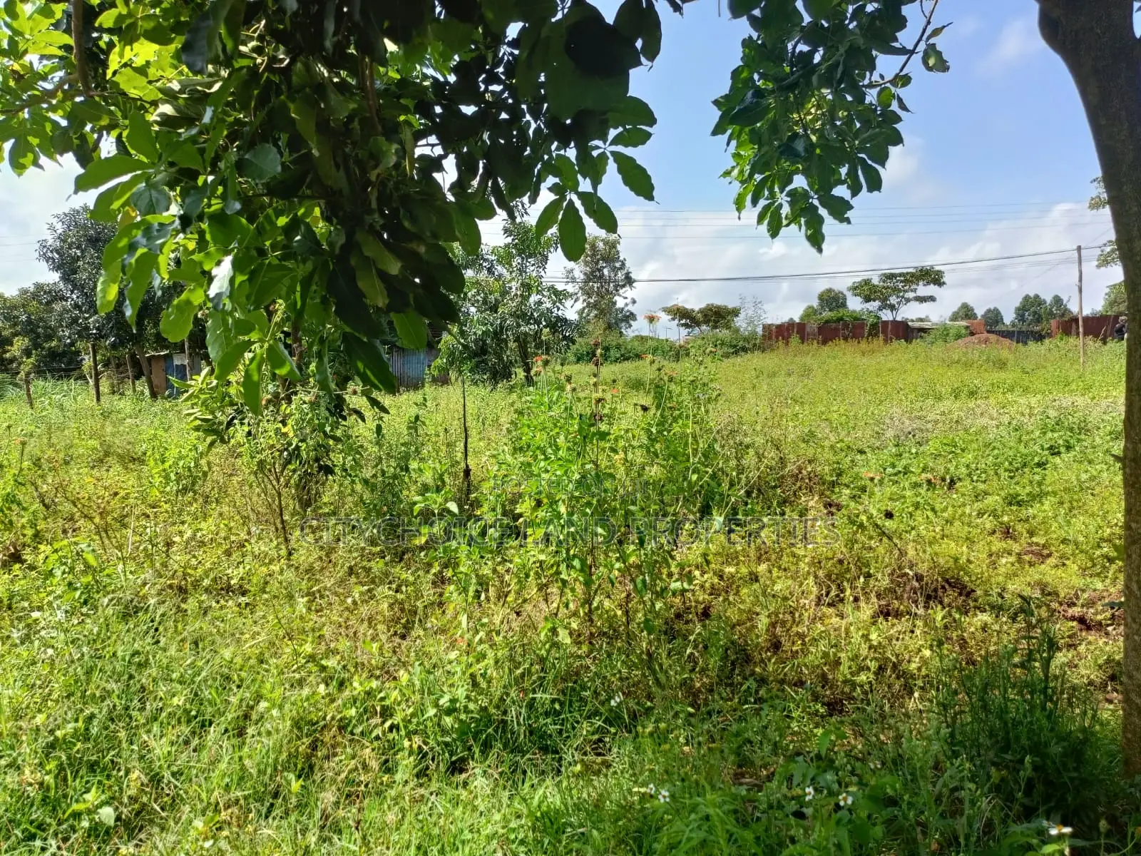 Prime Plot for Sale in Gikambura