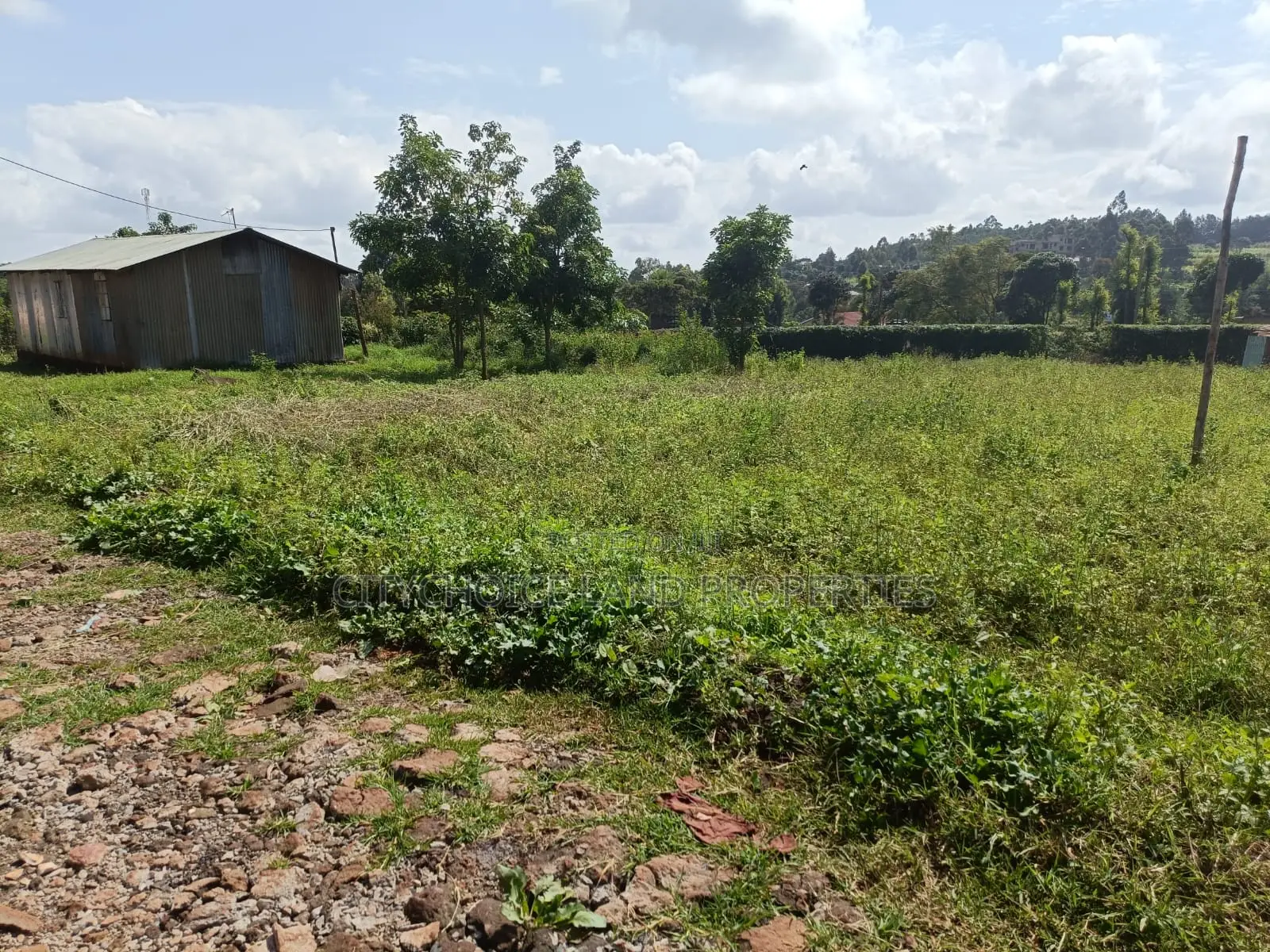 Prime Plot for Sale in Gikambura